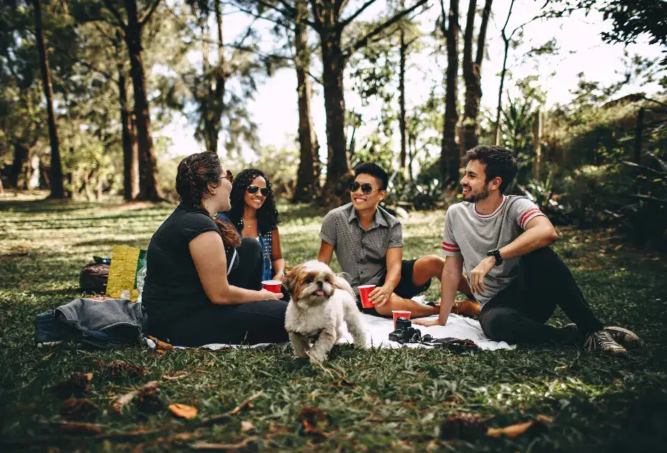 Des amis en pique-nique dans un parc